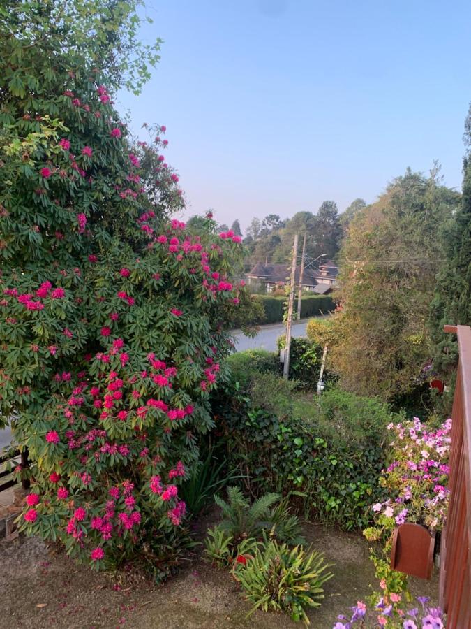 הוילה Campos do Jordão Linda Casa! Aconchegante E Com Otima Localizacao מראה חיצוני תמונה